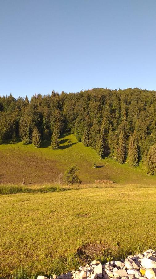 Ioana Lodge Munună