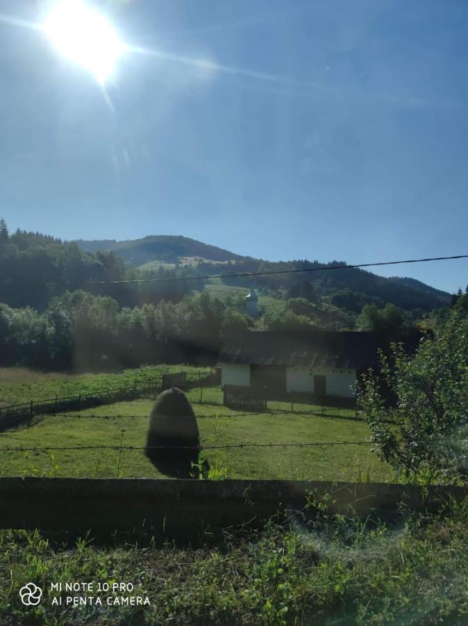 Lodge Ioana Munună