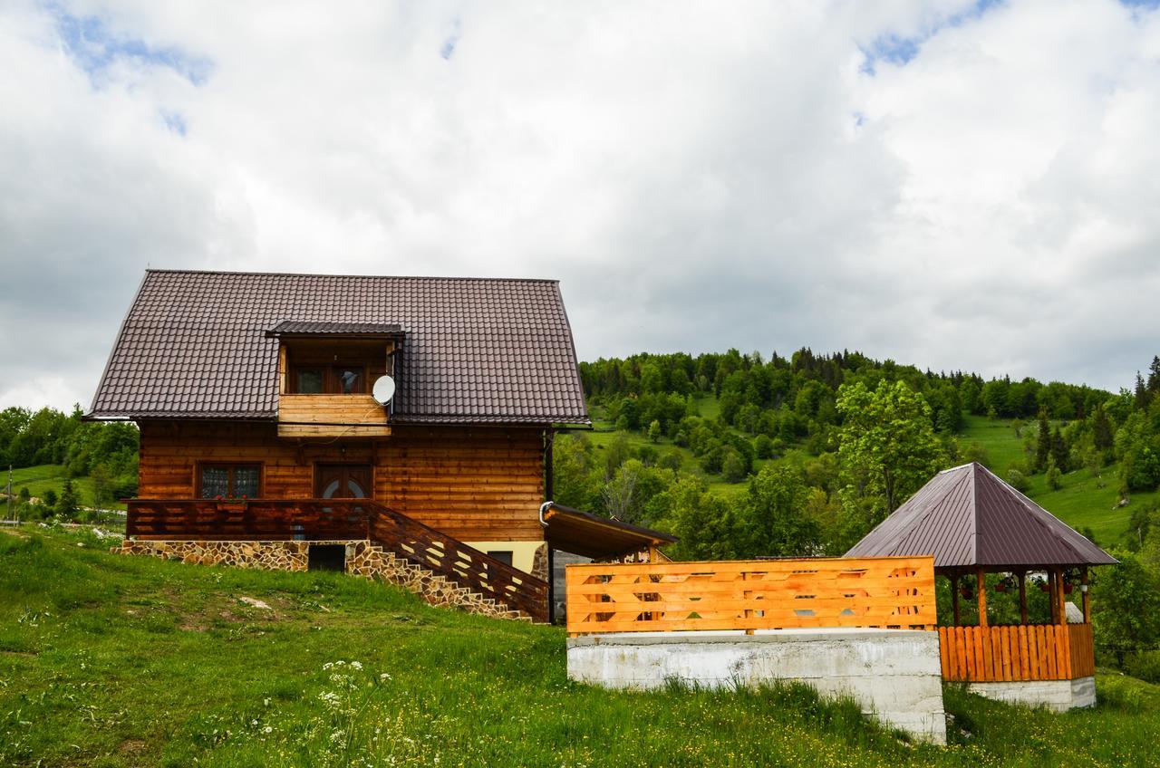 Lodge Ioana