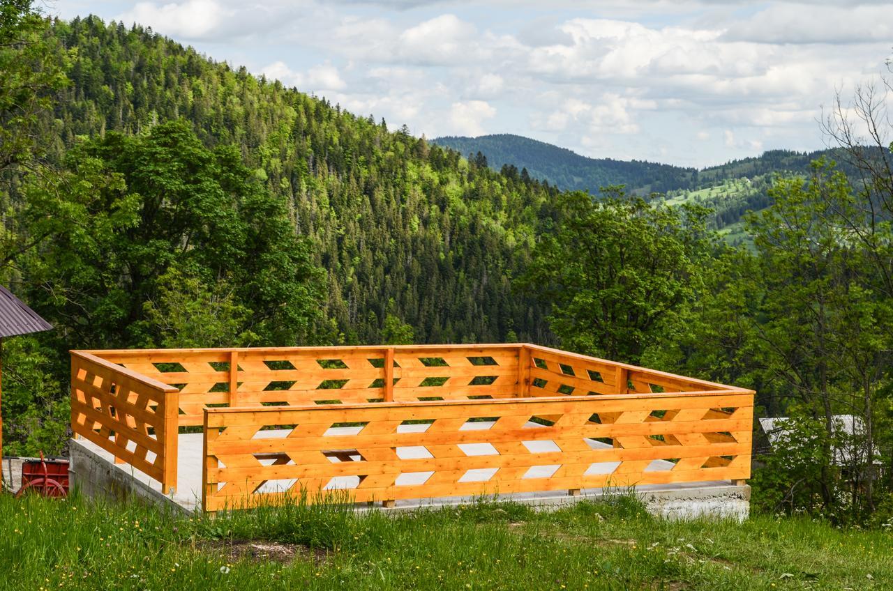 Ioana Lodge