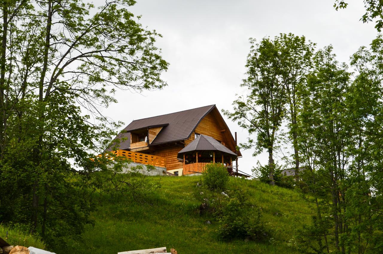 Ioana Lodge *
