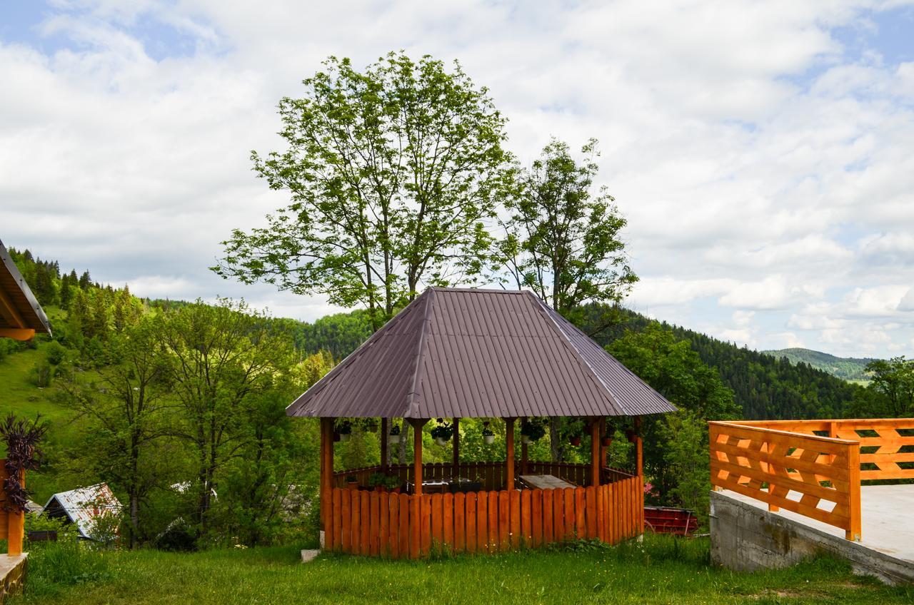 Ioana Lodge *