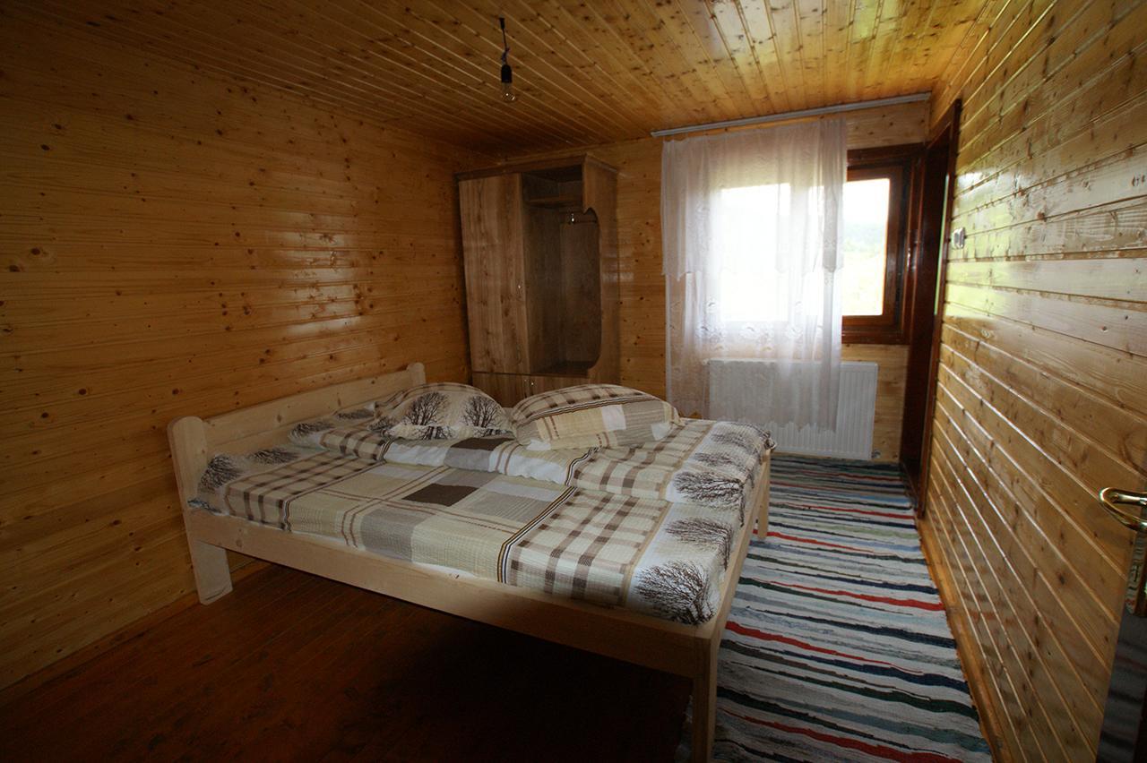 Ioana Lodge *