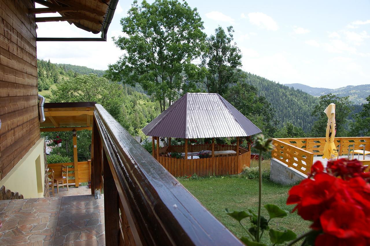 Lodge Ioana